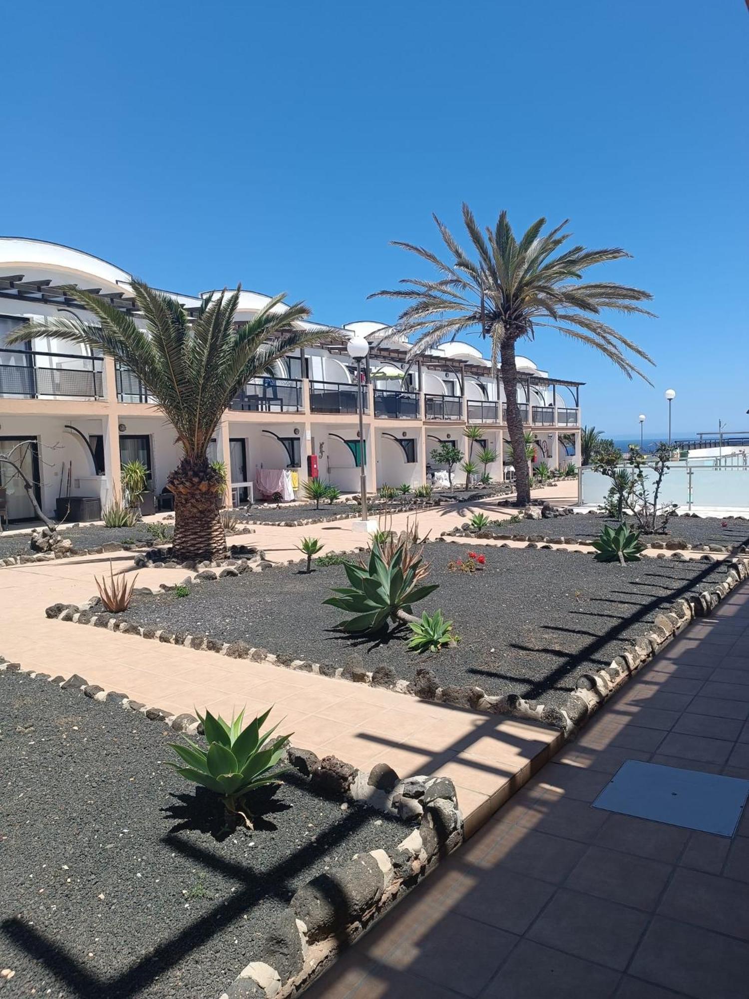 Apartamento Life Complex Amaya Fuerteventura Costa De Antigua Bagian luar foto