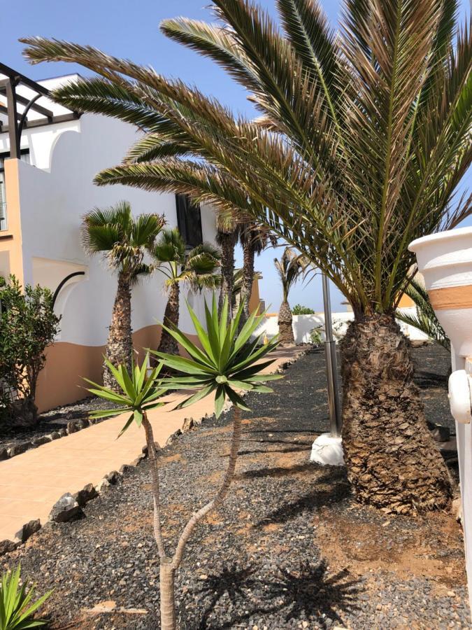 Apartamento Life Complex Amaya Fuerteventura Costa De Antigua Bagian luar foto